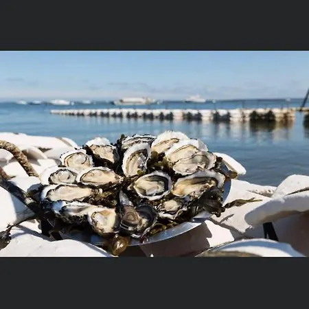 Maison Typique Bassin D Arcachon Audenge