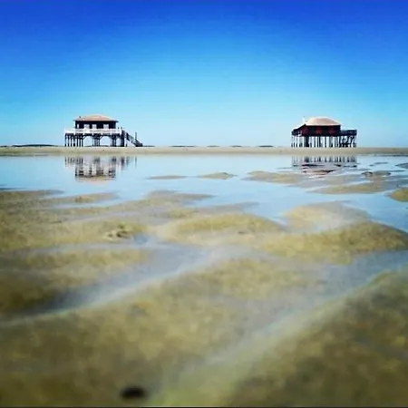 Maison Typique Bassin D Arcachon *